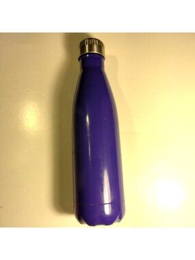 Everyday Living Purple Metal Water Bottle Tall Travel Stainless Steel 16 oz